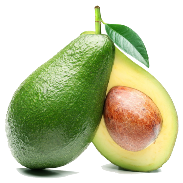 Avocat